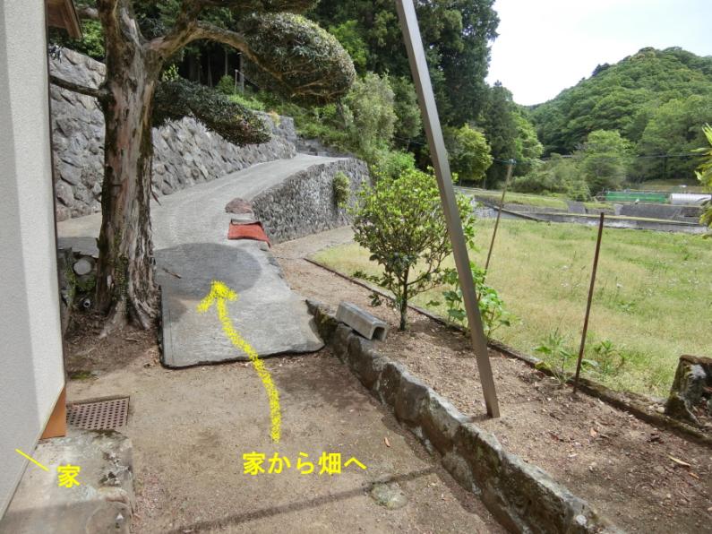 田畑10枚付き！伊豆市中原戸の古民家物件の画像34