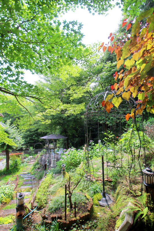 山々を望む広大な敷地で果樹・菜園が楽しめる！丹波市青垣町の中古別荘物件の画像34